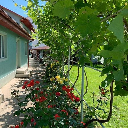 Casa Pestelui Hotel Două Mai Екстериор снимка