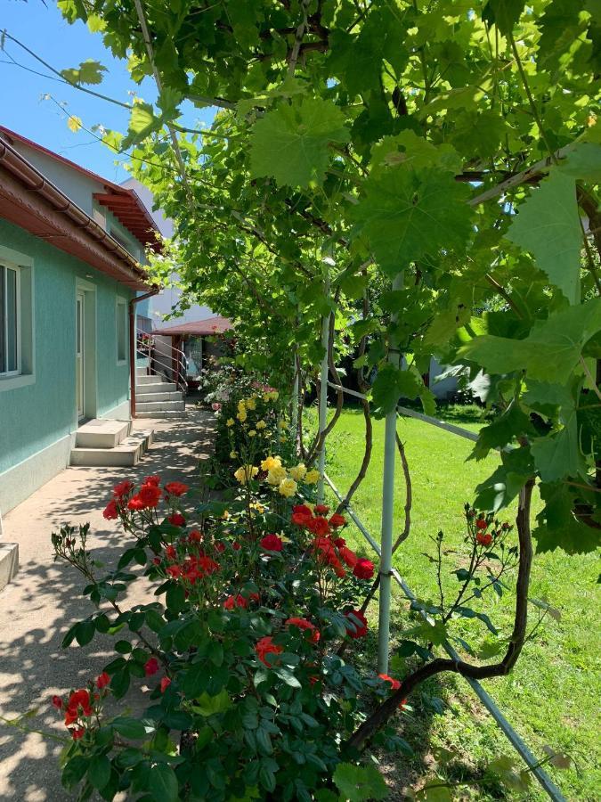 Casa Pestelui Hotel Două Mai Екстериор снимка