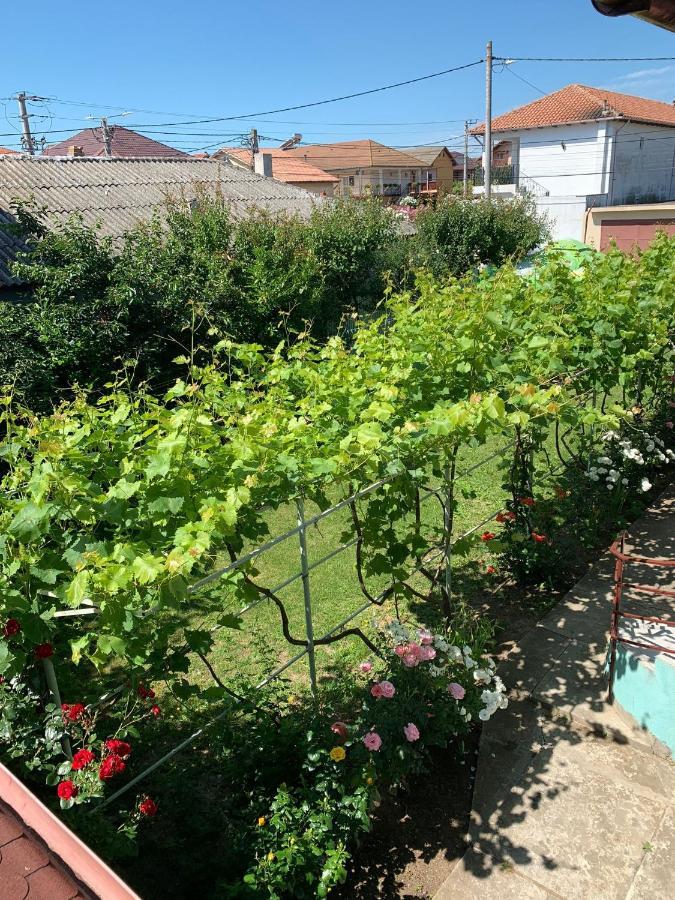 Casa Pestelui Hotel Două Mai Екстериор снимка